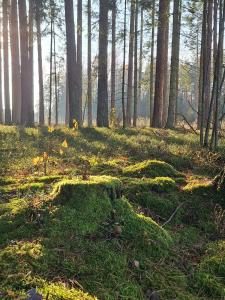 Nocleg na Mazurach - Barn 1