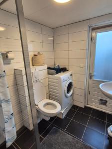 Amsterdam ZaanseSchans House