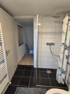 Amsterdam ZaanseSchans House