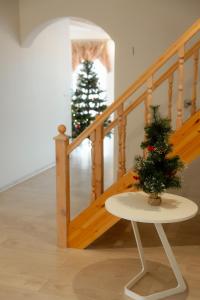 Konrad Family Guesthouse