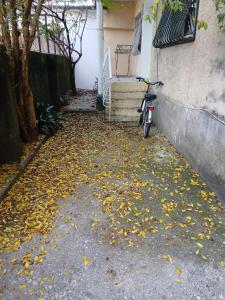 Central Apartment Shkodër