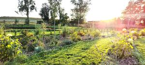 Zielona Ostoja- Czyżów Szlachecki