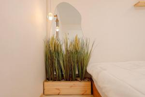 뉴오픈-온스테이인방배 사당이수역10분 6인2룸 강남홍대건대성수 서울핫플접근편리 공항버스8분