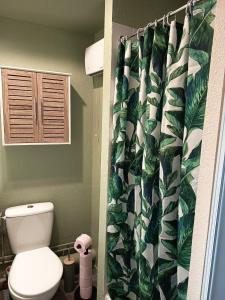 Grand Studio 4 couchages proche Université et CHU