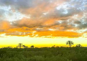 Dar Lily, villa familiale avec piscine et services