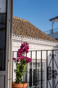 El Sur Medina-Sidonia