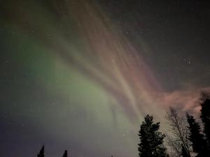 Viirin Apartment Sauna & Free Parking