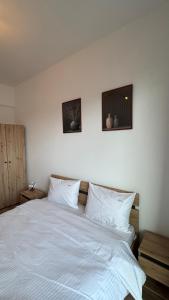 Venus Loft Coresi Mall