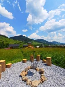 Casa Viorica -Botoș