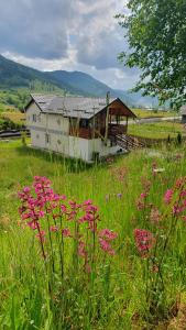 Casa Viorica -Botoș