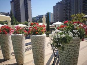 Aurelia apartment Sunny beach