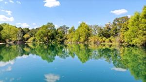 Beautiful Lofted Dome with Cozy Deck and Charming Design in Elgin, Texas