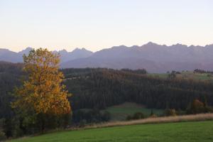 Janiołowa Ostoja Apartament pod Tatrami