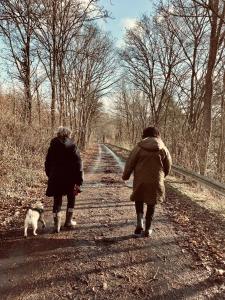 Nature, chaleur, calme et confort au coeur des Ardennes belges
