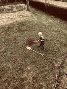 Nature, chaleur, calme et confort au coeur des Ardennes belges