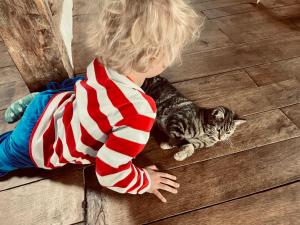 Nature, chaleur, calme et confort au coeur des Ardennes belges