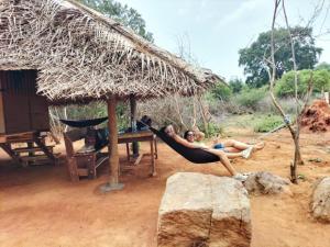 Yala Wild Adventure Camp