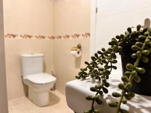 Apartamento Encantador y Acogedor de 4 Hab en Murillo de Río Leza- La Rioja