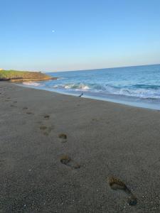 Luxury Oceanfront Condo