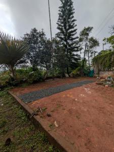 Haze Munnar Homestay