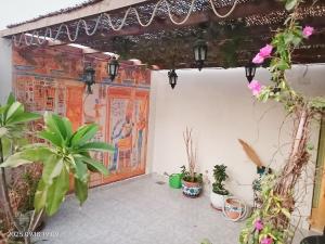 Lovely & Calm Rooftop in Maadi 5 min from the Nile