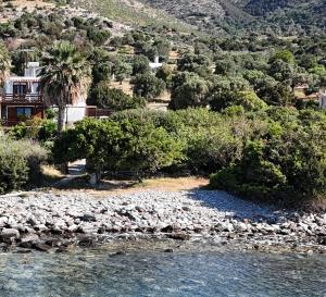 Scenic Coastal Getaway