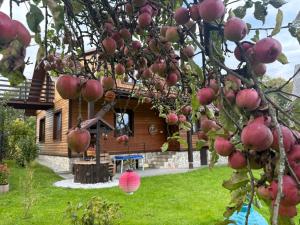 Agroturystka Dom w Owocowym Sadzie