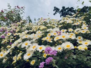 Nhà nghỉ Hoàng Gia