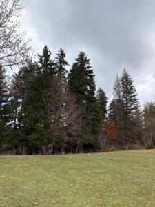 Studio Apartment N86 at X2