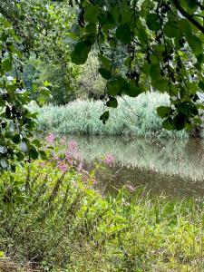 Pension&Wellness-Oase-Nossen