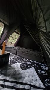 Pakis Camping Cikole