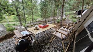 Pakis Camping Cikole