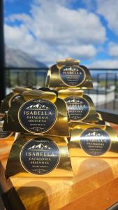 el Bolsón hermoso departamento