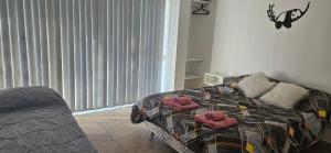 el Bolsón hermoso departamento