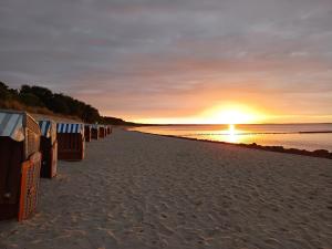 Ferienwohnung BoddenBee