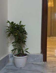 Greece vibes-flat, serviced apartment, private and cozy space space in Delhi and NCR