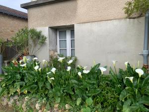 Appartement Les Acanthes 2ch Poitiers centre