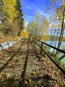 Apartmán RELAX Riviéra Lipno