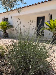 Villa Baou Evasion Provence
