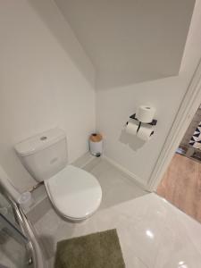 Studio Flat Peckham Rye London Apartment Zone 2 Location