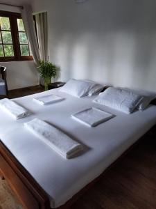 Forest Avenue - Kurunegala