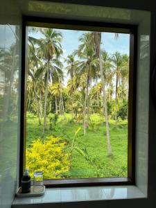 Forest Avenue - Kurunegala