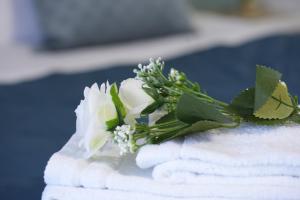 Collerisana Apartment