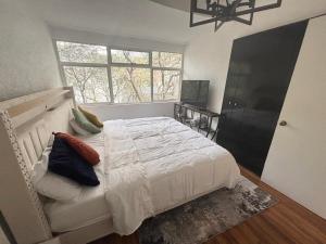 Apartment in Condesa overlooking Parque México