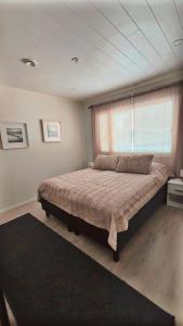 Villa Onnela with sauna,wifi and parking near Santa Village