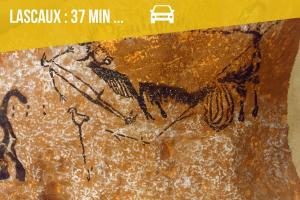 Le Papucie-Hyper-centre Sarlat, charme et confort