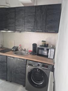 Studio David Eforie Nord