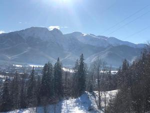 Domek Rochowa Buźnica apartament 2