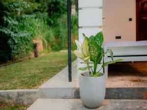 Dutch House Hiriketiya