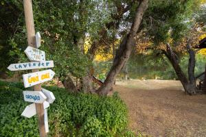 Yosemite cabin with private lake - Twin Springs